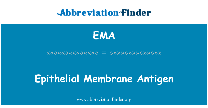 EMA: Epitelyal membran antijeni