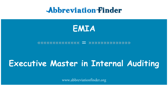EMIA: Executive Master, a belső könyvvizsgálat