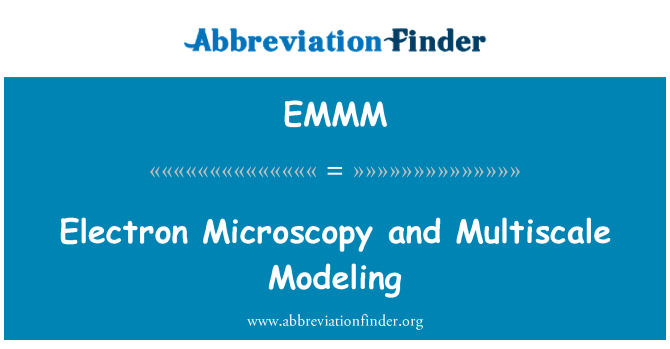 EMMM: Microsgopeg a modelu Multiscale