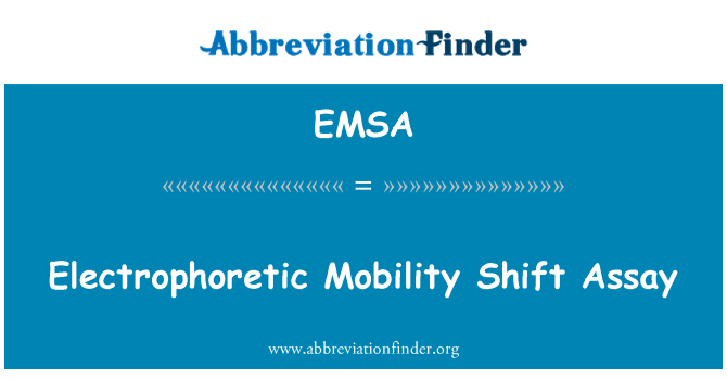 EMSA: Elektroforeesi liikuvuse Shift testis