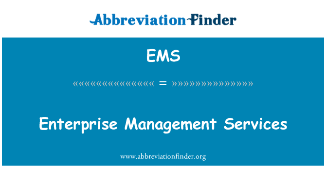 EMS: Услуги по управлению предприятием