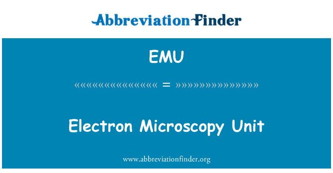 EMU: Mikroskop elektron Unit