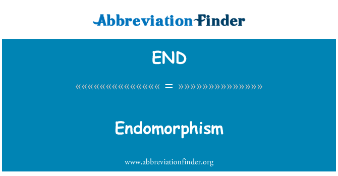 END: Endomorphism