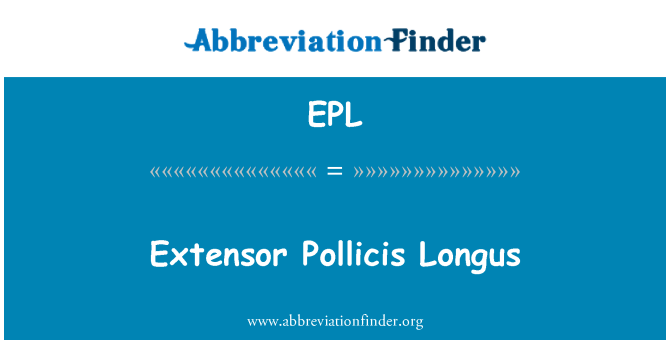 EPL: Muscle Pollicis Longus