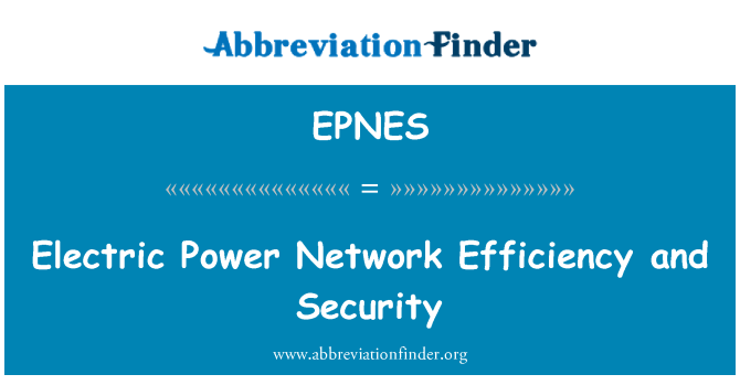 EPNES: Electric Power Network Efficiency and Security