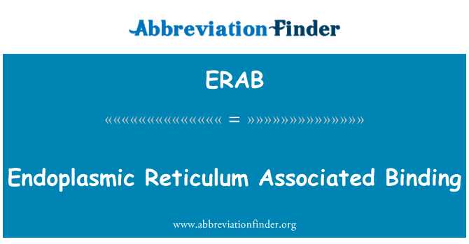ERAB: Endoplasmic (asosye Liaison