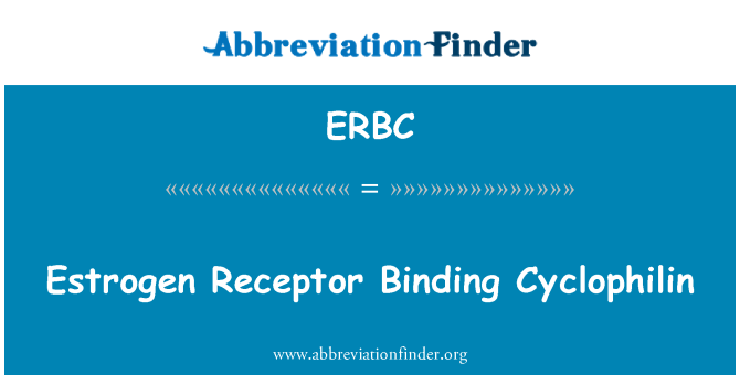 ERBC: Ciclofilina de vinculantes de Receptor de estrógeno