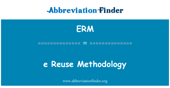 ERM: e réutilisation méthodologie