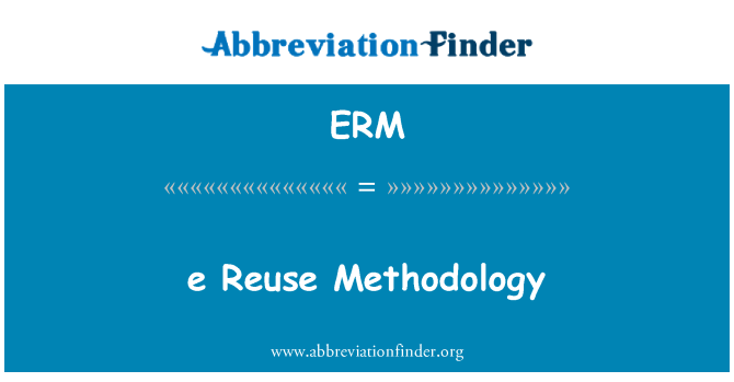 ERM: e 重用方法