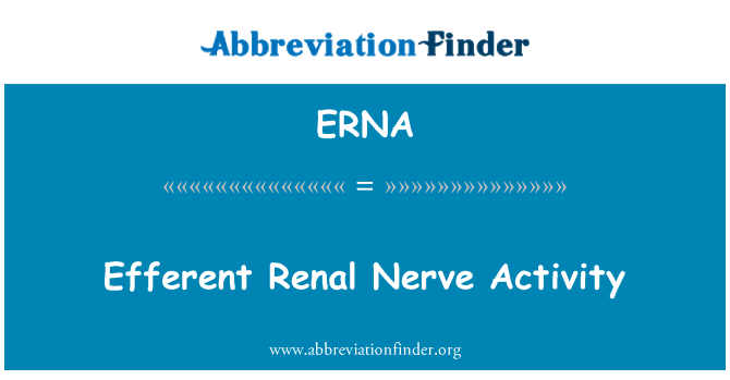ERNA: Efferent Renal sinir etkinliği