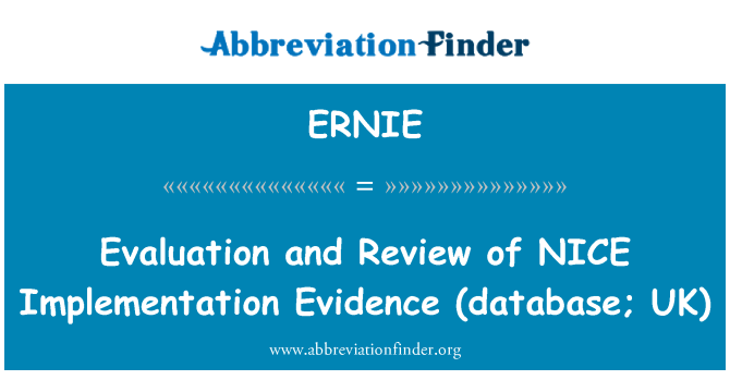 ERNIE: 评价和审查好执行证据 (数据库 ;英国)
