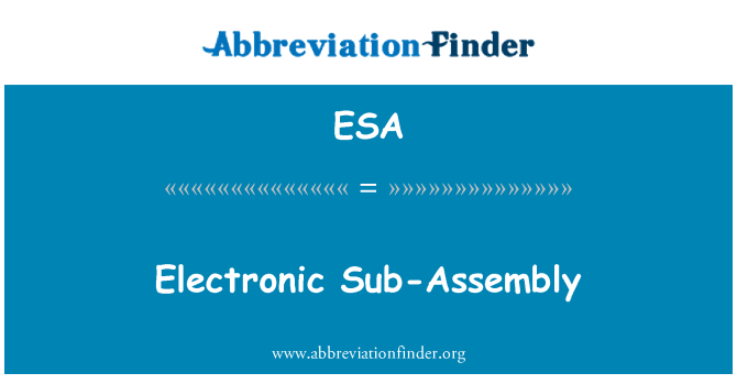 ESA: Electronic Sub-Assembly