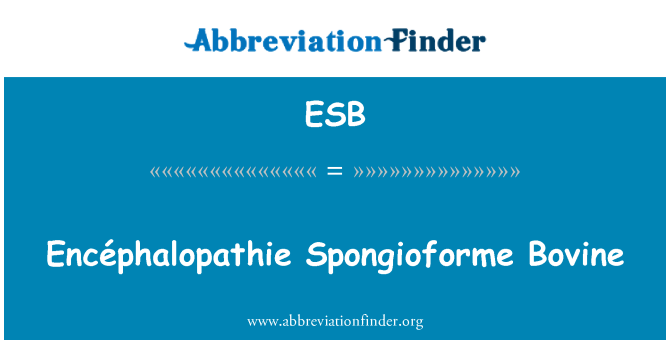 ESB: Encéphalopathie Spongioforme veiste