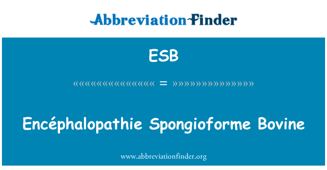 ESB: Espèces Spongioforme Encéphalopathie