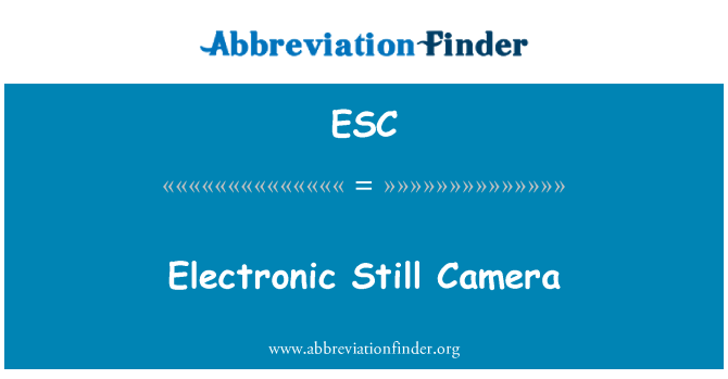 ESC: Elektronisko fotokamera