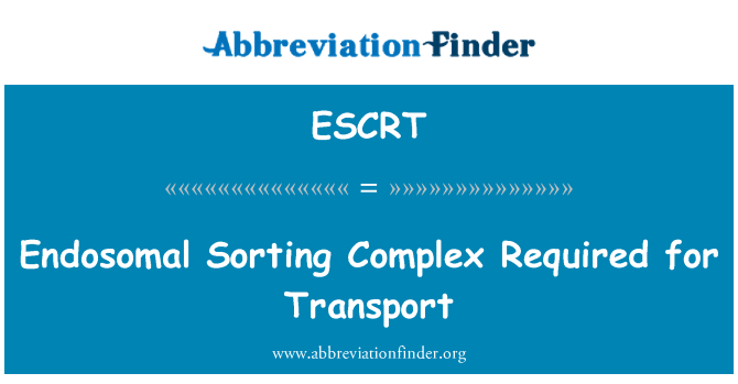 ESCRT: Endosomal sortering kompleks kræves for Transport