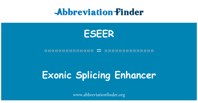 ESEER: Exonic sestřih Enhancer