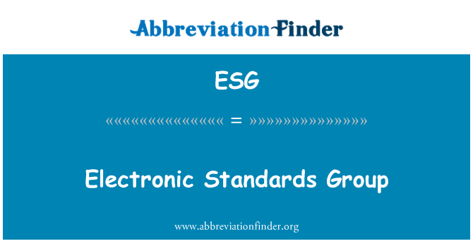ESG: Elektronische Standards Group