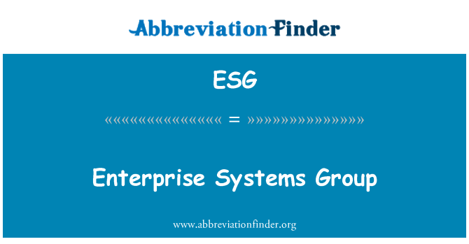 ESG: Enterprise Systems Group
