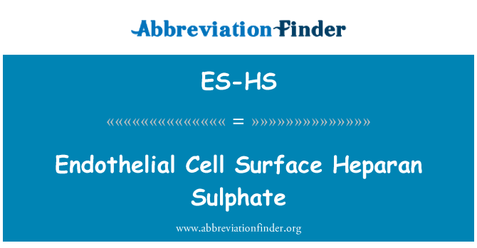 ES-HS: Endothelial Cell Surface Heparan Sulphate