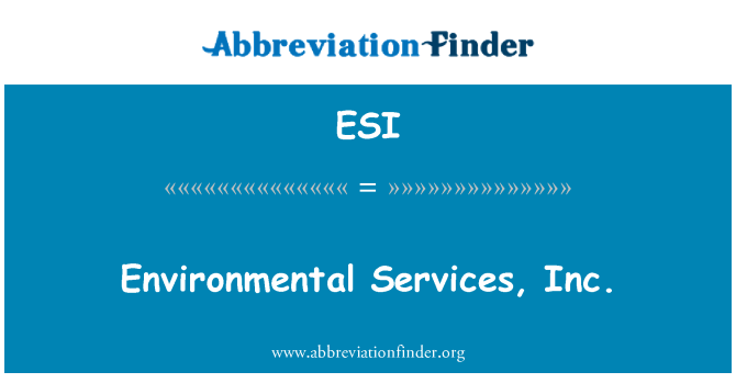 ESI: 환경 서비스, 주식 회사