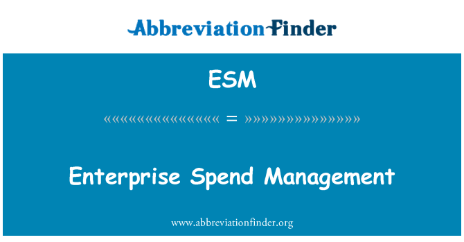 ESM: Enterprise Spend Management