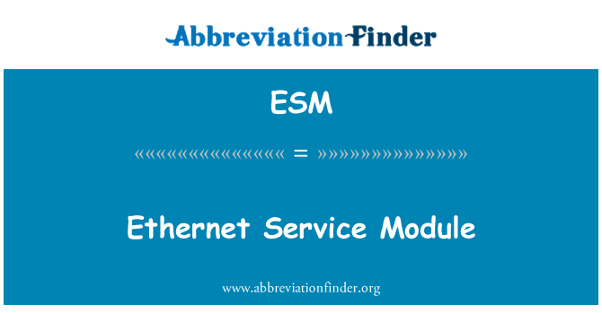 ESM: Ethernet servisni modul