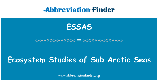 ESSAS: Etid Ekosistèm yo nan lanmè Arctic Sub