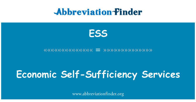 ESS: Economic Self-Sufficiency Services