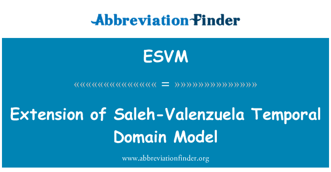 ESVM: Extensió del Model de domini Temporal Saleh-Valenzuela