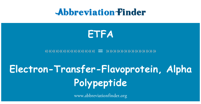ETFA: Elektron-Transfer-Flavoprotein, Alpha polipeptida
