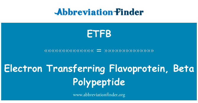 ETFB: Elektronide ülekandmise Flavoprotein, Beta polüpeptiidi