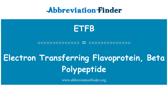 ETFB: Microscope Transfert Flavoprotein, sou non Polypeptide