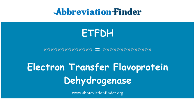 ETFDH: Elektronový Transfer Flavoprotein dehydrogenázy
