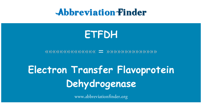 ETFDH: 电子转移黄素脱氢酶