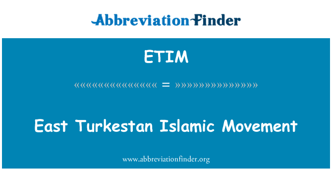 ETIM: East Turkestan islamski tok