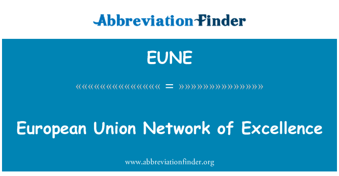 EUNE: European Union Network of Excellence