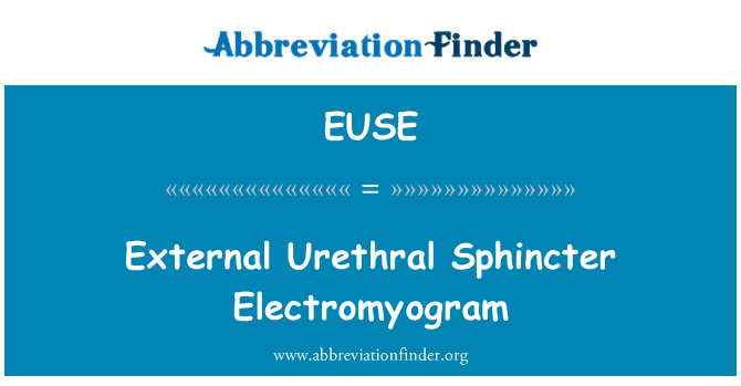EUSE: Externa urinrörets ringmuskel Elektromyogram