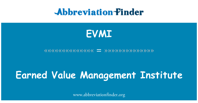 EVMI: Vytvořené hodnoty Management Institute