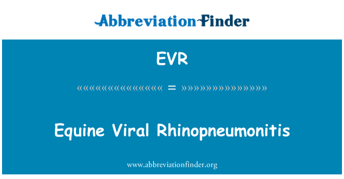 EVR: Rinoneumonitis Viral equina