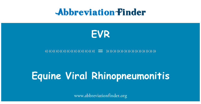 EVR: Konjski virusni Rhinopneumonitis