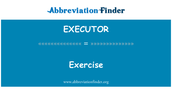 EXECUTOR: Übung