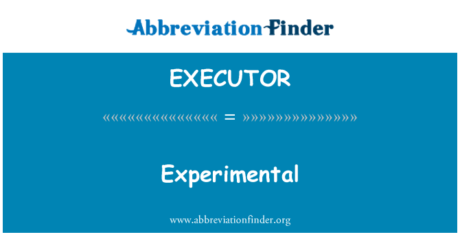 EXECUTOR: 实验