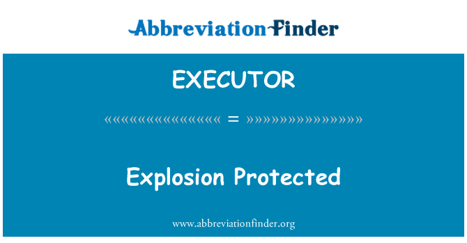 EXECUTOR: 防爆