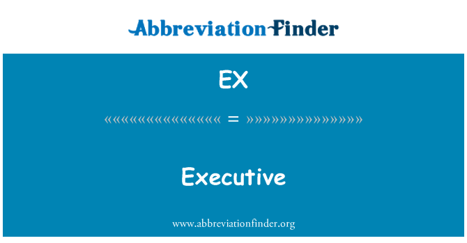 EX: Egzekitif