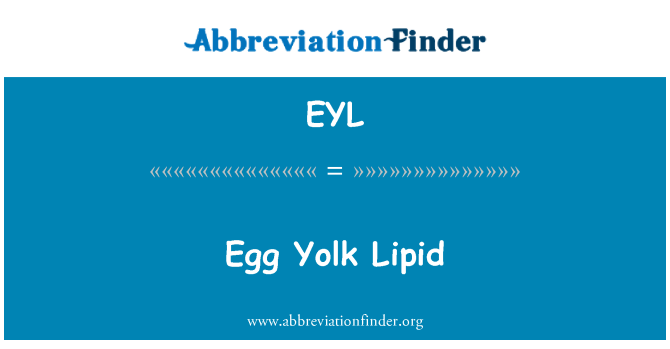EYL: השומנים חלמון ביצה