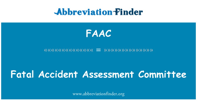 FAAC: Ölümcül kaza Değerlendirme Komitesi