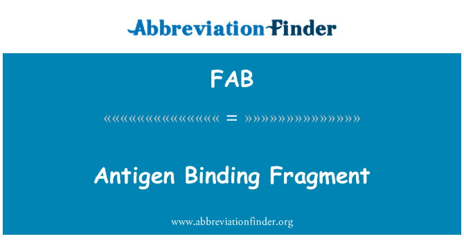 FAB: Antigen Binding Fragment