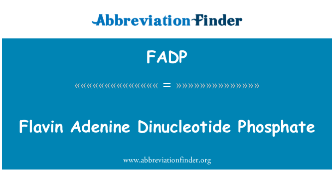 FADP: Flavin Adénine-Phosphate