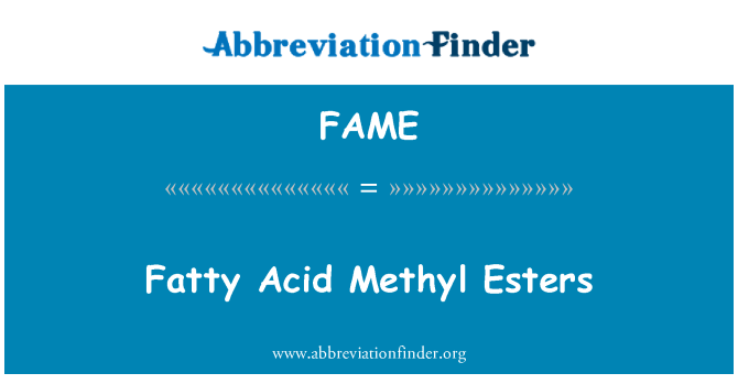 FAME: Esters Methyl asid brasterog